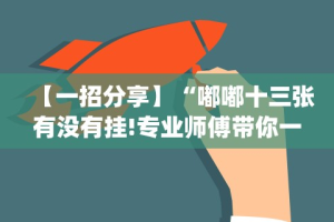 【一招分享】“嘟嘟十三张有没有挂!专业师傅带你一起了解(确实有挂)