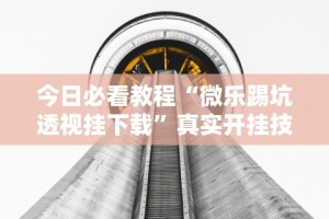 今日必看教程“微乐踢坑透视挂下载”真实开挂技巧分享