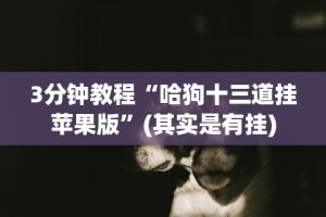 3分钟教程“哈狗十三道挂苹果版”(其实是有挂)