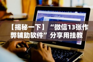 【揭秘一下】“微信13张作弊辅助软件”分享用挂教程