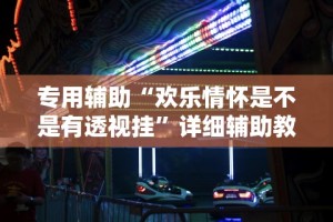 专用辅助“欢乐情怀是不是有透视挂”详细辅助教程分享