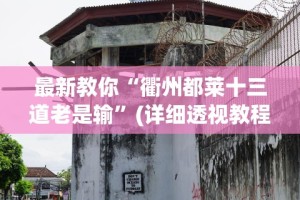 最新教你“衢州都莱十三道老是输”(详细透视教程)-