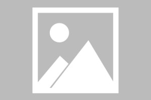 2026首发辅助“腾讯跑得快一直输怎么办”确实可以使用辅助