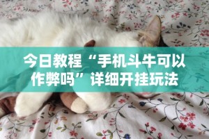 今日教程“手机斗牛可以作弊吗”详细开挂玩法