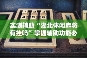 实测辅助“湖北休闲麻将有挂吗”掌握辅助功能必胜规则