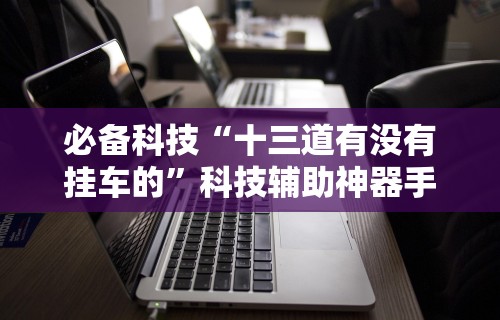 必备科技“十三道有没有挂车的”科技辅助神器手机版教程