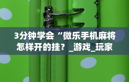 3分钟学会“微乐手机麻将怎样开的挂？_游戏_玩家_工具