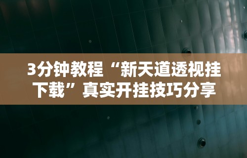 3分钟教程“新天道透视挂下载”真实开挂技巧分享