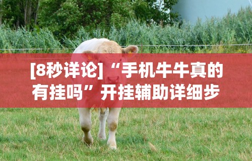 [8秒详论]“手机牛牛真的有挂吗”开挂辅助详细步骤