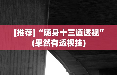 [推荐]“随身十三道透视”(果然有透视挂)
