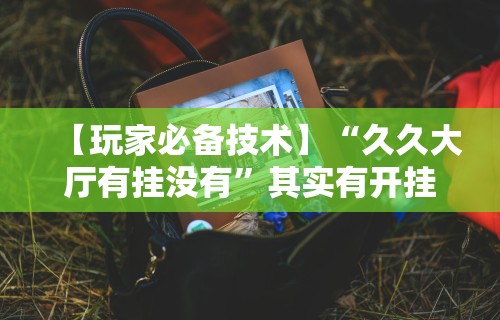 【玩家必备技术】“久久大厅有挂没有”其实有开挂插件!