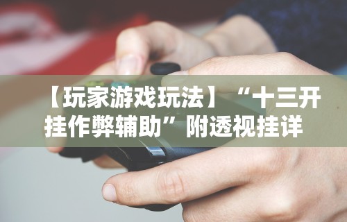 【玩家游戏玩法】“十三开挂作弊辅助”附透视挂详细教程