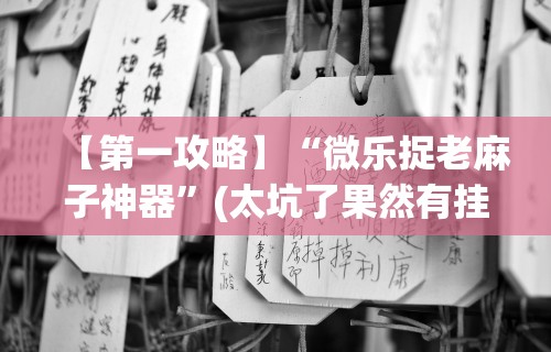 【第一攻略】“微乐捉老麻子神器”(太坑了果然有挂)