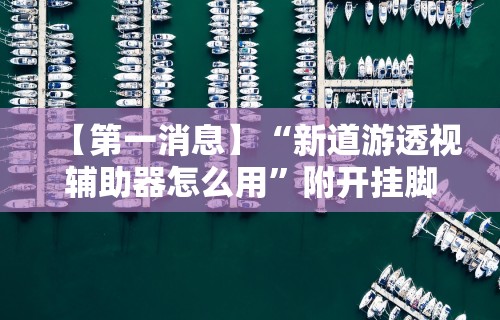 【第一消息】“新道游透视辅助器怎么用”附开挂脚本详细步骤
