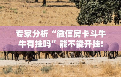 专家分析“手机棋牌科技 包赢[确实真的有挂]