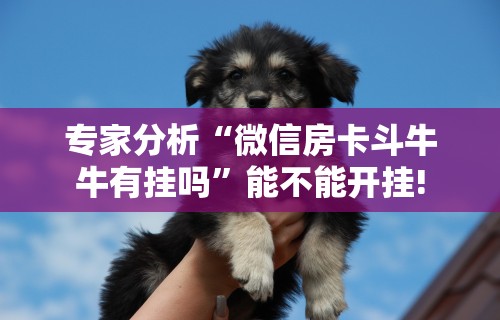 玩家必知“wepoker透视脚本免费”开挂辅助脚本+详细