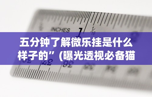 五分钟了解微乐挂是什么样子的”(曝光透视必备猫腻)