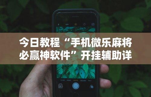 今日教程“手机微乐麻将必赢神软件”开挂辅助详细步骤