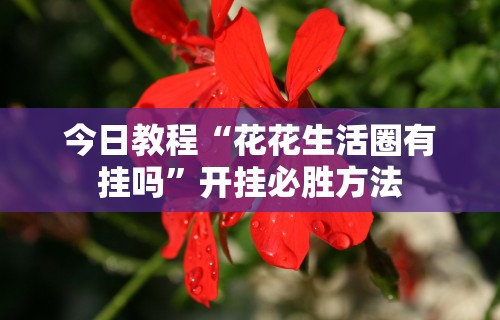 今日教程“花花生活圈有挂吗”开挂必胜方法