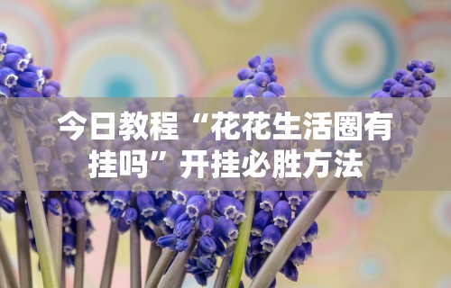 今日教程“花花生活圈有挂吗”开挂必胜方法