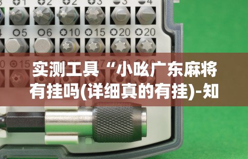 实测工具“小吆广东麻将有挂吗(详细真的有挂)-知乎