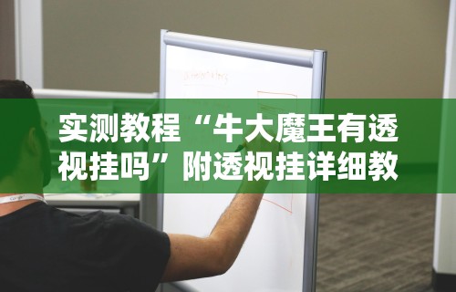 实测教程“牛大魔王有透视挂吗”附透视挂详细教程