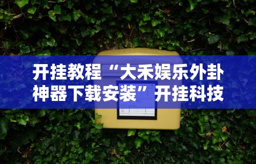 开挂教程“大禾娱乐外卦神器下载安装”开挂科技辅助神器手机