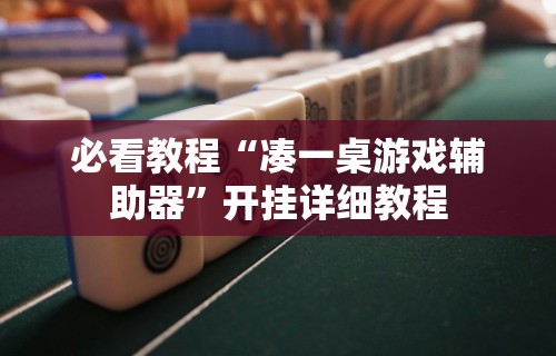 必看教程“凑一桌游戏辅助器”开挂详细教程