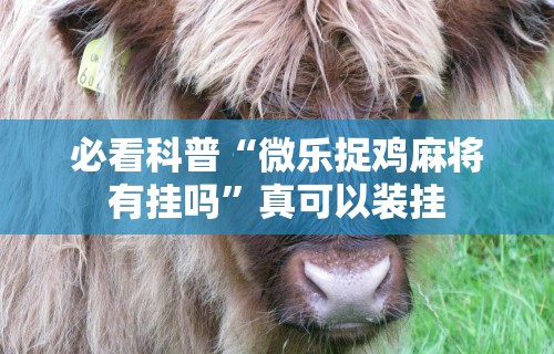 必看科普“微乐捉鸡麻将有挂吗”真可以装挂