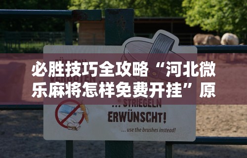 必胜技巧全攻略“河北微乐麻将怎样免费开挂”原来可以开挂