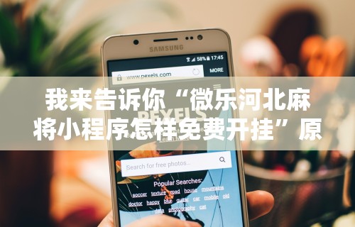 我来告诉你“微乐河北麻将小程序怎样免费开挂”原来可以开挂