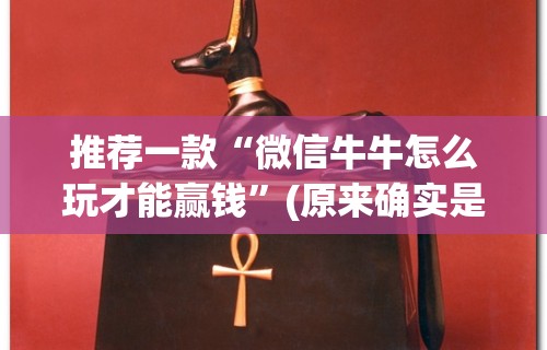 推荐一款“微信牛牛怎么玩才能赢钱”(原来确实是有插件)
