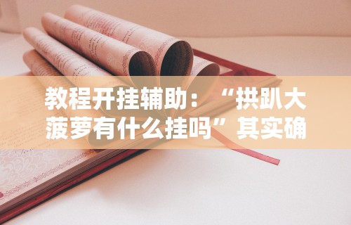 教程开挂辅助：“拱趴大菠萝有什么挂吗”其实确实有挂