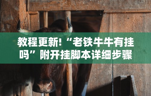 教程更新!“老铁牛牛有挂吗”附开挂脚本详细步骤