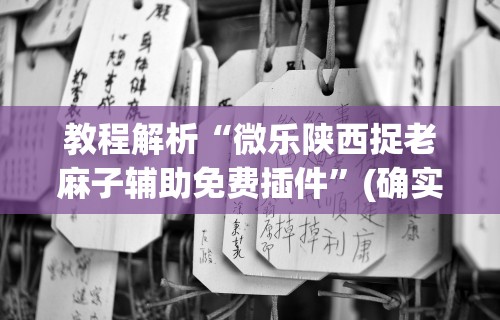 教程解析“微乐陕西捉老麻子辅助免费插件”(确实有挂)
