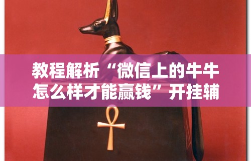 教程解析“微信上的牛牛怎么样才能赢钱”开挂辅助详细步骤
