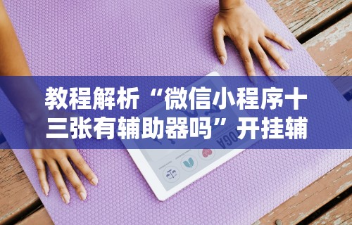 教程解析“微信小程序十三张有辅助器吗”开挂辅助脚本+详细开挂