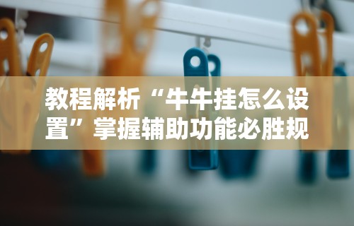 教程解析“牛牛挂怎么设置”掌握辅助功能必胜规则