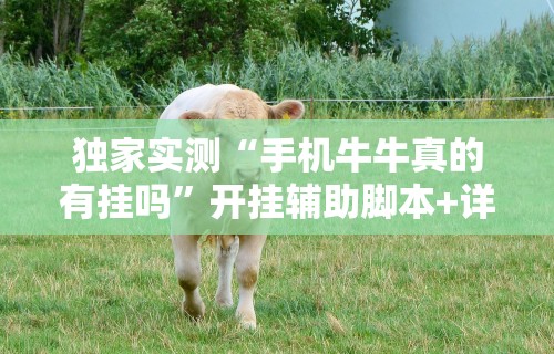 独家实测“手机牛牛真的有挂吗”开挂辅助脚本+详细