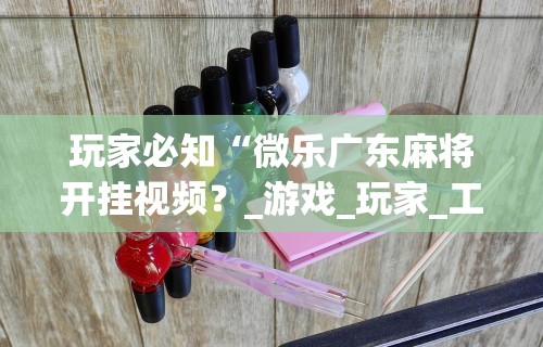 玩家必知“微乐广东麻将开挂视频？_游戏_玩家_工具