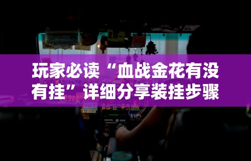 玩家必读“血战金花有没有挂”详细分享装挂步骤教程