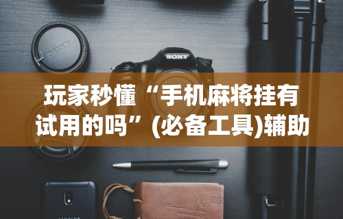 玩家秒懂“手机麻将挂有试用的吗”(必备工具)辅助教学