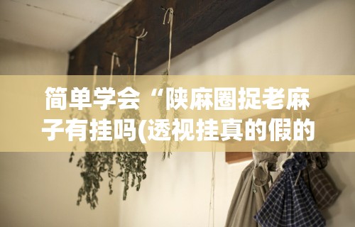 简单学会“陕麻圈捉老麻子有挂吗(透视挂真的假的)