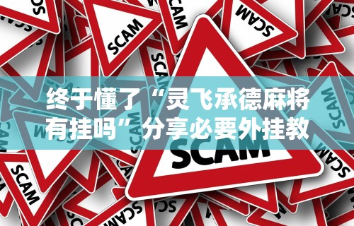 终于懂了“灵飞承德麻将有挂吗”分享必要外挂教程