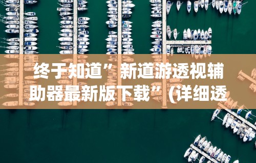 终于知道”新道游透视辅助器最新版下载”(详细透视教程)