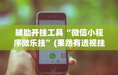 辅助开挂工具“微信小程序微乐挂”(果然有透视挂)