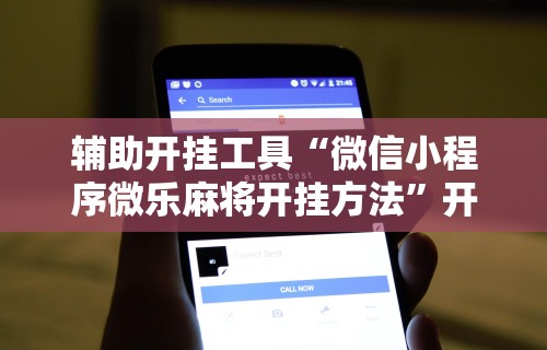 辅助开挂工具“微信小程序微乐麻将开挂方法”开挂必胜方法