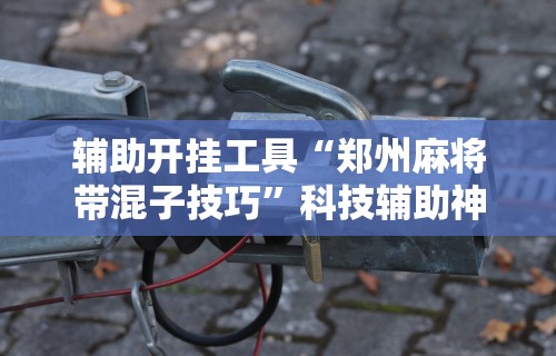 辅助开挂工具“郑州麻将带混子技巧”科技辅助神器手机版教程