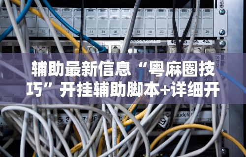 辅助最新信息“粤麻圈技巧”开挂辅助脚本+详细开挂