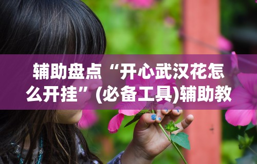 辅助盘点“开心武汉花怎么开挂”(必备工具)辅助教学